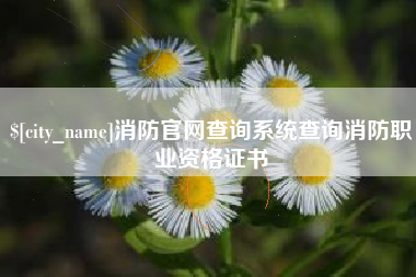 阿里消防官网查询系统查询消防职业资格证书