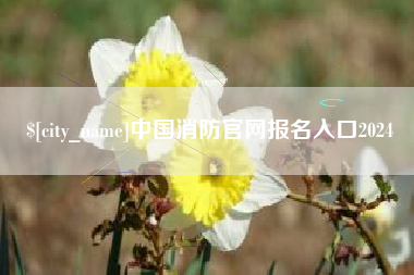阿里中国消防官网报名入口2024