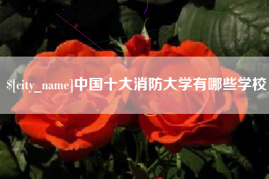 阿里中国十大消防大学有哪些学校