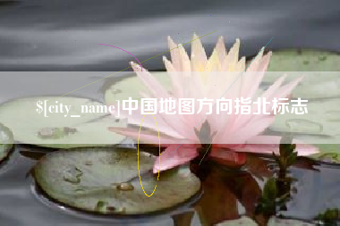 阿里中国地图方向指北标志