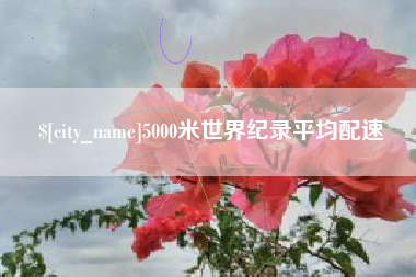 阿里5000米世界纪录平均配速