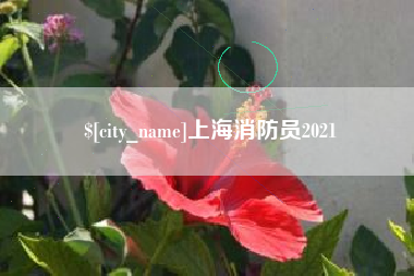 阿里上海消防员2021
