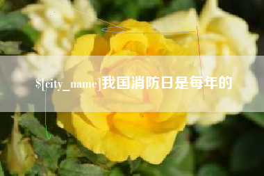 阿里我国消防日是每年的