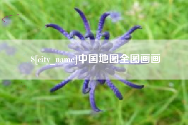 阿里中国地图全图画画
