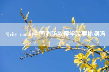 阿里中国消防救援学院要体测吗