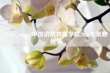 阿里中国消防救援学院2020年录取结果