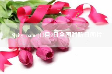 阿里11月9日全国消防日图片