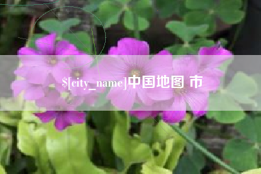 阿里中国地图 市