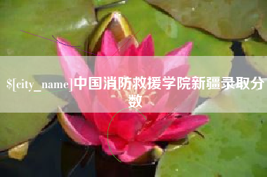 阿里中国消防救援学院新疆录取分数