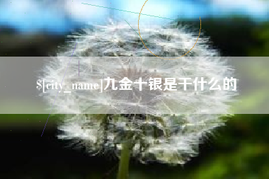 阿里九金十银是干什么的