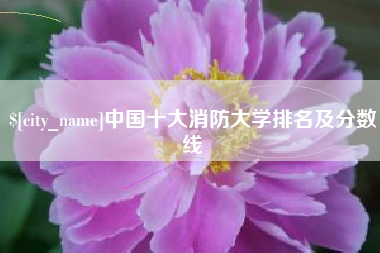 阿里中国十大消防大学排名及分数线