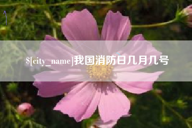 阿里我国消防日几月几号