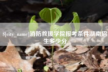 阿里消防救援学院报考条件湖南招生多少分