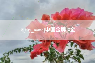 阿里中国金牌18金