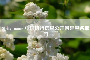 阿里中国执行信息公开网是黑名单吗