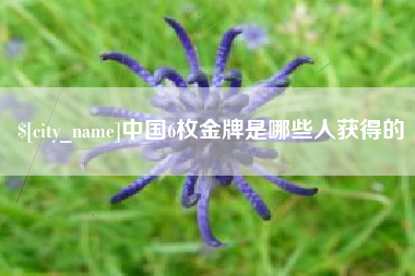 阿里中国6枚金牌是哪些人获得的