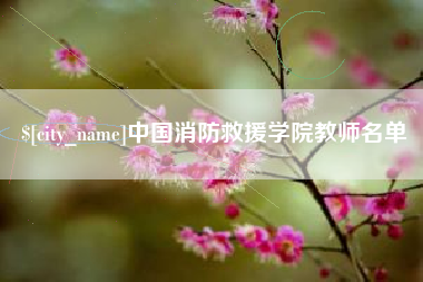 阿里中国消防救援学院教师名单