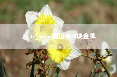 阿里奥运会39块金牌