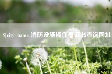 阿里消防设施操作员证书查询网址