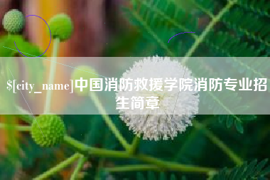 阿里中国消防救援学院消防专业招生简章