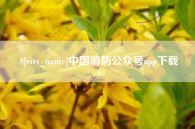 阿里中国消防公众号app下载