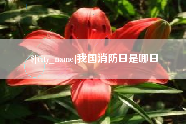 阿里我国消防日是哪日