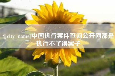 阿里中国执行案件查询公开网都是执行不了得案子