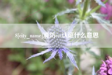 阿里消防ccc认证什么意思