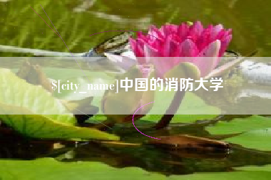 阿里中国的消防大学