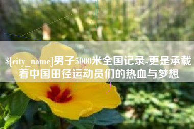 阿里男子5000米全国记录-更是承载着中国田径运动员们的热血与梦想