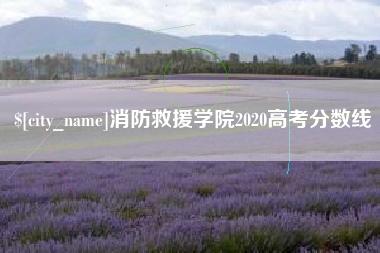 阿里消防救援学院2020高考分数线