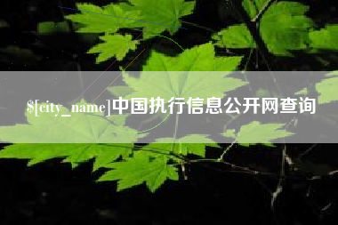 阿里中国执行信息公开网查询