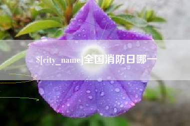 阿里全国消防日哪一