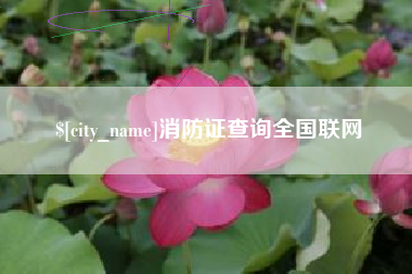 阿里消防证查询全国联网