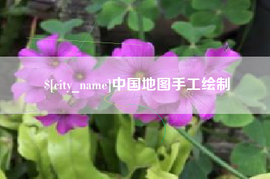 阿里中国地图手工绘制