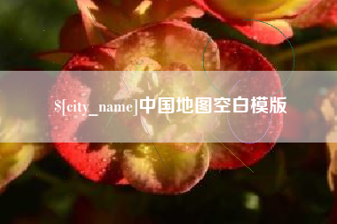 阿里中国地图空白模版