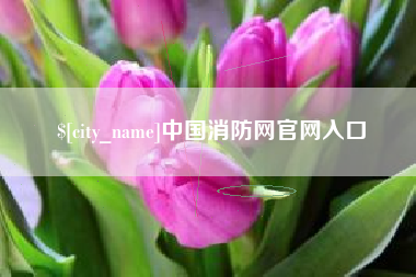 阿里中国消防网官网入口