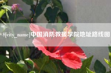 阿里中国消防救援学院地址路线图