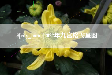 阿里2022年九宫格飞星图