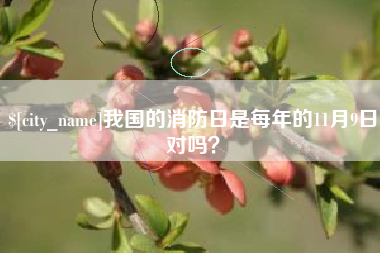 阿里我国的消防日是每年的11月9日对吗？
