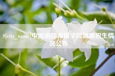 阿里中国消防救援学院湖南招生情况公布