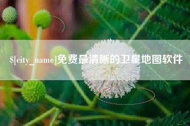 阿里免费最清晰的卫星地图软件