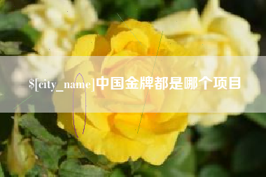 阿里中国金牌都是哪个项目