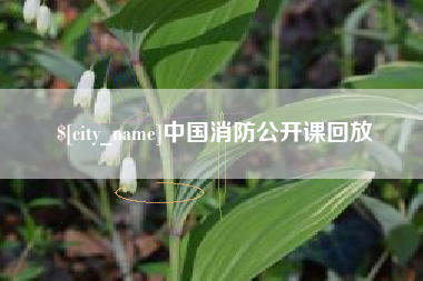 阿里中国消防公开课回放