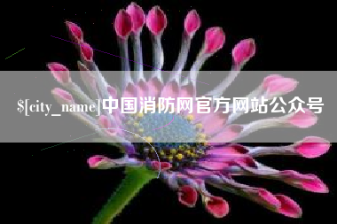 阿里中国消防网官方网站公众号