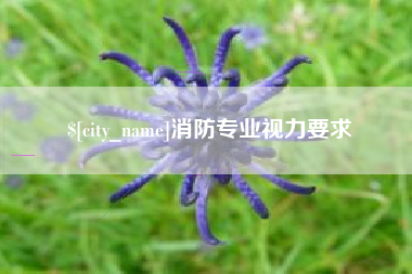 阿里消防专业视力要求