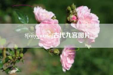 阿里古代九宫图片