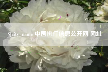 阿里中国执行信息公开网 网址