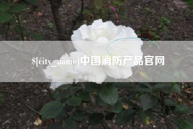 阿里中国消防产品官网
