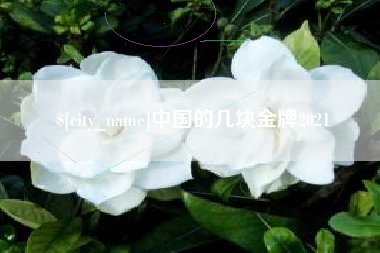 阿里中国的几块金牌2021
